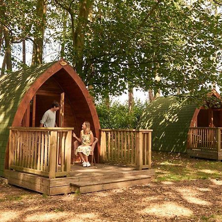 Pinewood - At Port Lympne Reserve هيث المظهر الخارجي الصورة