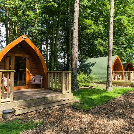 Pinewood - At Port Lympne Reserve هيث المظهر الخارجي الصورة