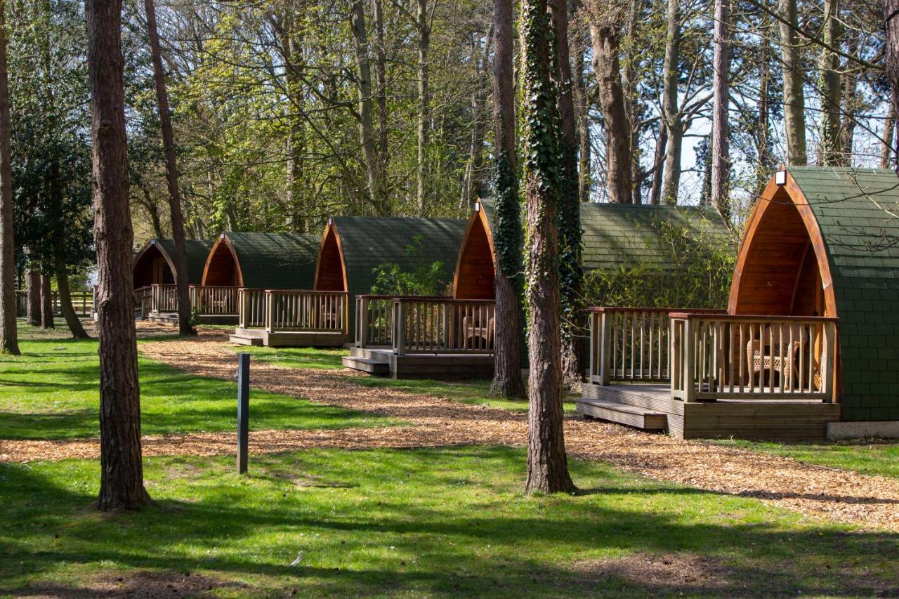Pinewood - At Port Lympne Reserve هيث المظهر الخارجي الصورة