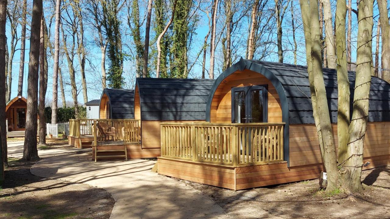 Pinewood - At Port Lympne Reserve هيث المظهر الخارجي الصورة